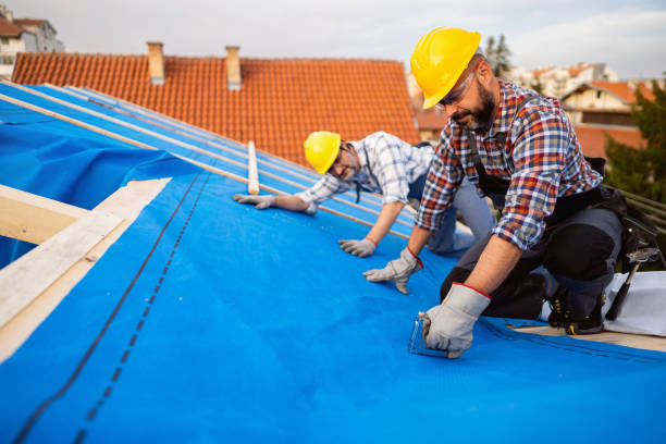 Best Gutter Installation and Repair  in Mount Carmel, IL